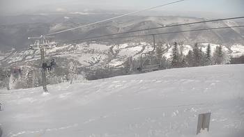 Красія 16 січня 2022 року, 2022-01-16 13:00