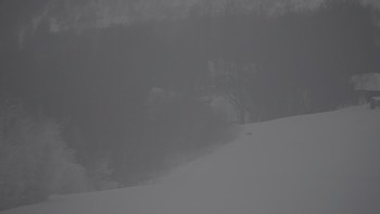 Красія 21 січня 2022 року, 2022-01-21 10:00