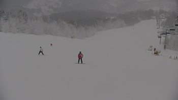 Красія 21 січня 2022 року, 2022-01-21 13:00