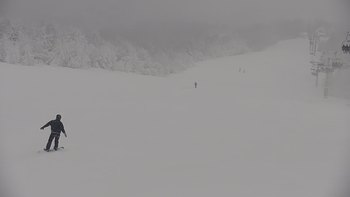 Красія 22 січня 2022 року, 2022-01-22 13:00