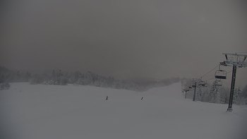 Красія 22 січня 2022 року, 2022-01-22 16:00