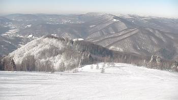 Красія 24 січня 2022 року, 2022-01-24 13:00