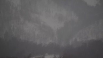Красія 25 січня 2022 року, 2022-01-25 10:00