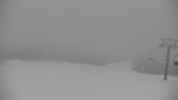 Красія 25 січня 2022 року, 2022-01-25 13:00