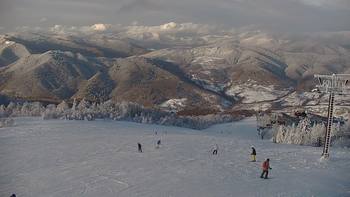 Красія 29 січня 2022 року, 2022-01-29 16:00