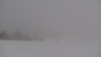 Красія 31 січня 2022 року, 2022-01-31 10:00
