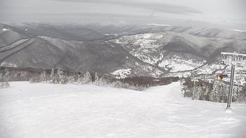 Красія 31 січня 2022 року, 2022-01-31 13:00