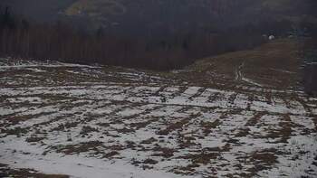 Красія 29 січня 2025 року, 2025-01-29 10:00