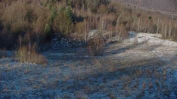 Красія 19 листопада 2025 року, 2025-11-19 10:00