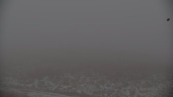 Красія 20 листопада 2025 року, 2025-11-20 10:00