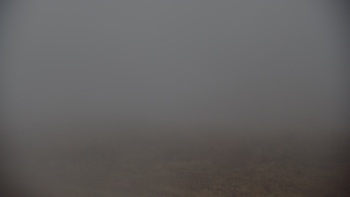 Красія 21 листопада 2025 року, 2025-11-21 10:00