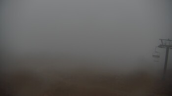 Красія 21 листопада 2025 року, 2025-11-21 13:00