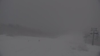 Красія 11 січня 2026 року, 2026-01-11 16:00