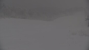 Красія 12 січня 2026 року, 2026-01-12 10:00