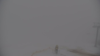 Красія 27 січня 2026 року, 2026-01-27 13:00