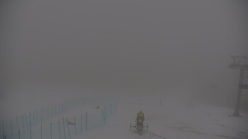 Krasiia 6 february 2026 year, 2026-02-06 13:00