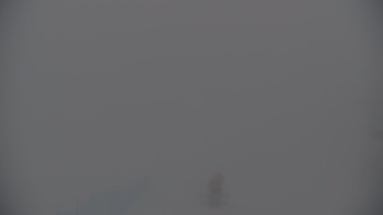 Krasija 12 luty 2026 rok, 2026-02-12 13:00