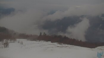 Красія 14 лютого 2026 року, 2026-02-14 16:00