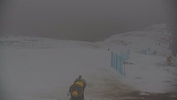 Красія 15 лютого 2026 року, 2026-02-15 10:00