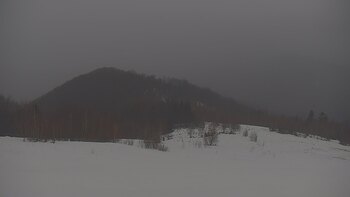 Красія 19 лютого 2026 року, 2026-02-19 16:00