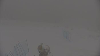 Красія 20 лютого 2026 року, 2026-02-20 10:00