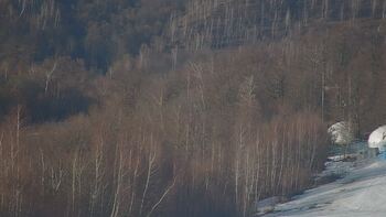 Krasiia 3 march 2026 year, 2026-03-03 16:00