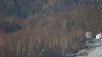 Krasija 7 marsz 2026 rok, 2026-03-07 16:00