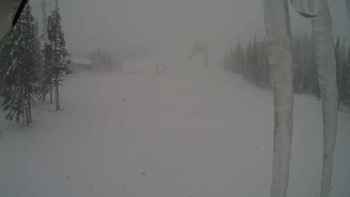 Драгобрат 11 грудня 2017 року, 2017-12-11 13:00