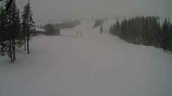 Драгобрат 31 грудня 2017 року, 2017-12-31 10:00