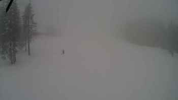 Драгобрат 11 лютого 2018 року, 2018-02-11 10:00