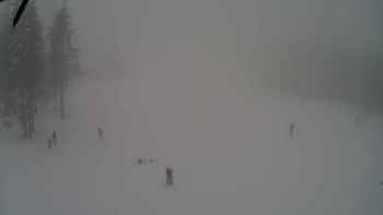 Драгобрат 11 лютого 2018 року, 2018-02-11 13:00