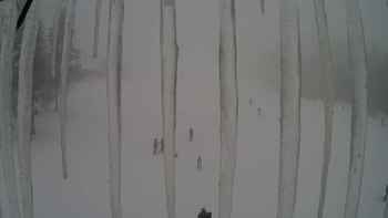 Драгобрат 22 лютого 2018 року, 2018-02-22 13:00
