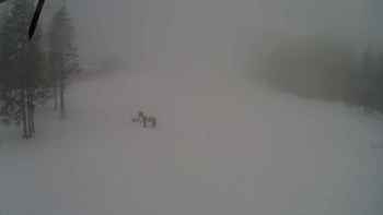 Драгобрат 11 березня 2018 року, 2018-03-11 13:00
