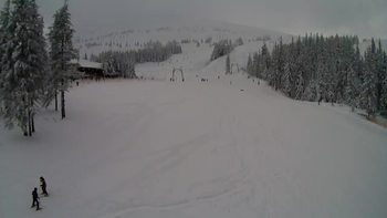 Драгобрат 7 січня 2019 року, 2019-01-07 13:00