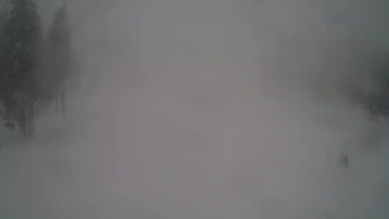 Драгобрат 17 січня 2019 року, 2019-01-17 16:00