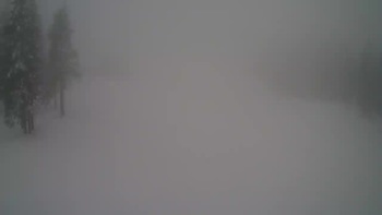 Драгобрат 29 січня 2019 року, 2019-01-29 10:00