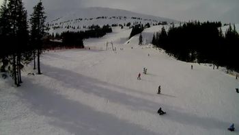 Драгобрат 5 лютого 2019 року, 2019-02-05 13:00