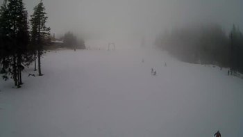 Драгобрат 6 лютого 2019 року, 2019-02-06 16:00