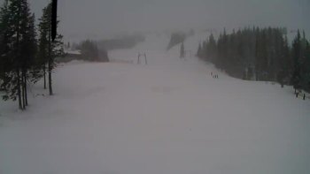 Драгобрат 5 березня 2019 року, 2019-03-05 10:00