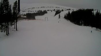 Драгобрат 7 березня 2019 року, 2019-03-07 16:00
