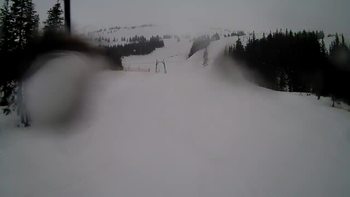 Драгобрат 8 березня 2019 року, 2019-03-08 16:00