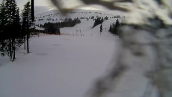 Драгобрат 10 березня 2019 року, 2019-03-10 10:00
