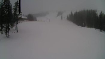 Драгобрат 15 березня 2019 року, 2019-03-15 10:00