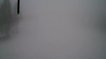 Драгобрат 1 квітня 2019 року, 2019-04-01 10:00