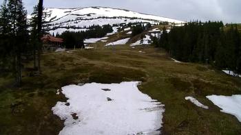 Драгобрат 11 травня 2019 року, 2019-05-11 10:00