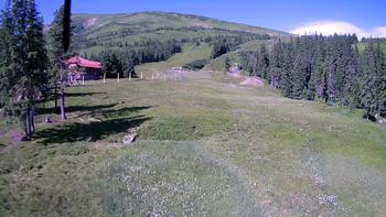 Драгобрат 5 липня 2019 року, 2019-07-05 10:00