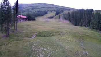 Драгобрат 11 липня 2019 року, 2019-07-11 10:00