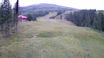 Драгобрат 15 липня 2019 року, 2019-07-15 13:00