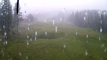 Драгобрат 1 серпня 2019 року, 2019-08-01 13:00