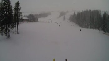 Драгобрат 12 лютого 2020 року, 2020-02-12 13:00